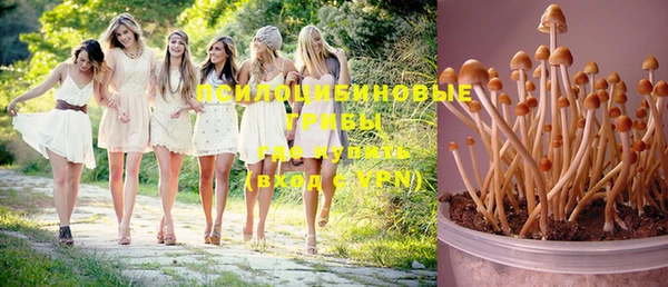 прущая мука Алзамай