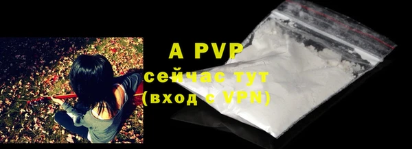 дурь Сатка