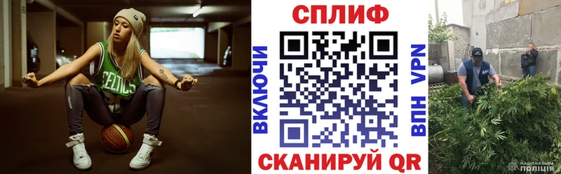 Бошки Шишки план  KRAKEN ONION  Ветлуга  купить наркотики сайты 